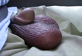 بلدي قليلا النحاس ديك تترك لي تعليقات