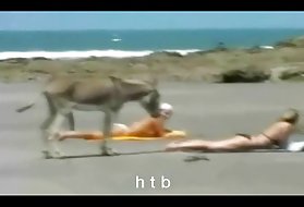 الإباحية الفتيات في المدرسة الثانوية الكاميرا الخفية أفضل يطرح الإباحية على الانترنت